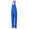 bleu travail