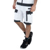 short peintre