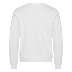 pull peintre blanc