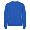 pull professionnel bleu