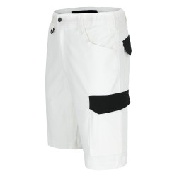 short peintre