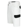 short peintre