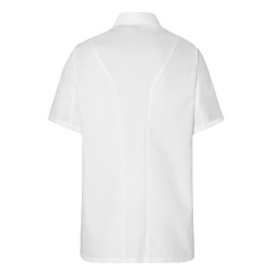 veste molinel pour cuisiniers