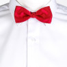 noeud papillon professionnel