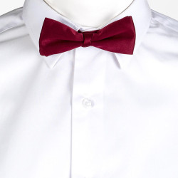 noeud papillon professionnel service