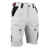 short peintre