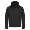 Sweat à capuche upf 