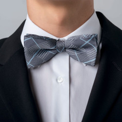 Noeu papillon homme Robur