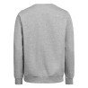 sweat BTP gris clair