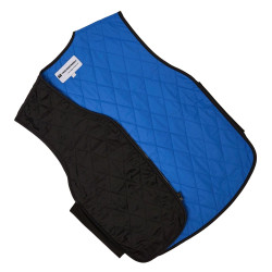 Gilet rafraîchissant btp