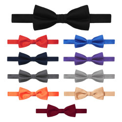 noeud papillon professionnel