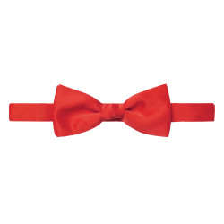 noeud papillon pro