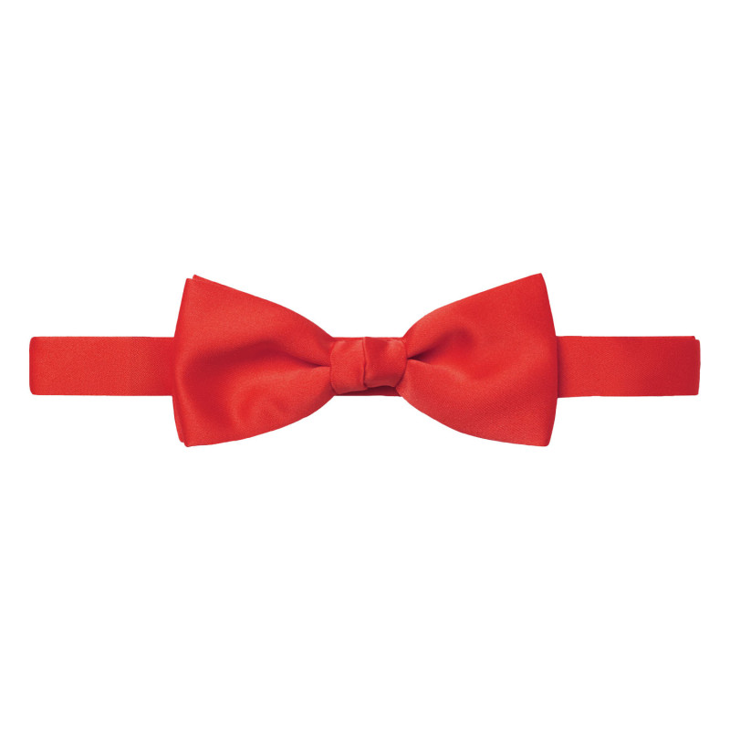 noeud papillon pro