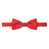 noeud papillon pro