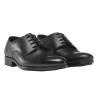 derby professionnel service