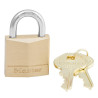 cadenas professionnel