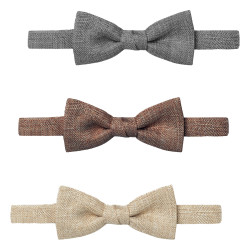 noeud papillon serveur