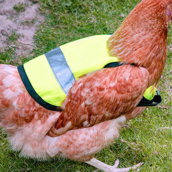 Gilet pour poule Korntex