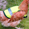 Gilet pour poule Korntex
