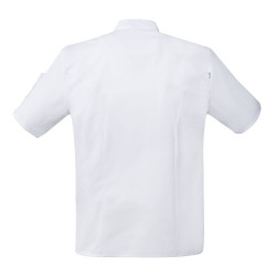 Veste de chef manches courtes