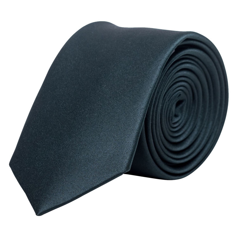 Cravate professionnelle homme