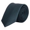 Cravate professionnelle homme