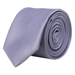 Cravate professionnelle grise