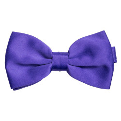 Nœud papillon serveur satiné