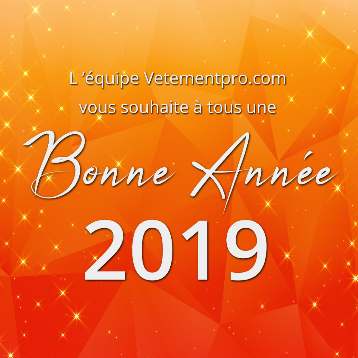 bonne année 2019