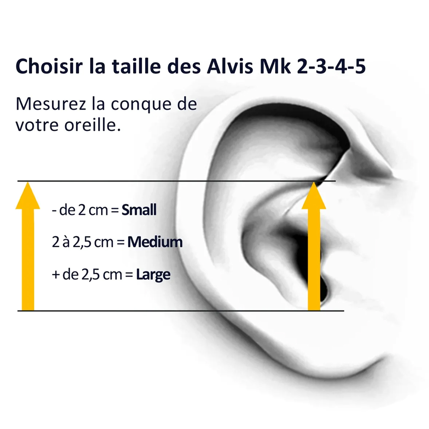 Bouchons anti bruit de travail  Protection auditive Alvis Audio