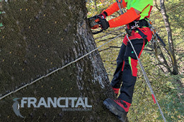 francital